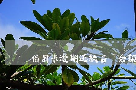 信用卡逾期还款后 余额不足 信用卡逾期还款后 余额不足